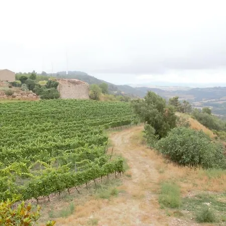Villa Cal Miret *